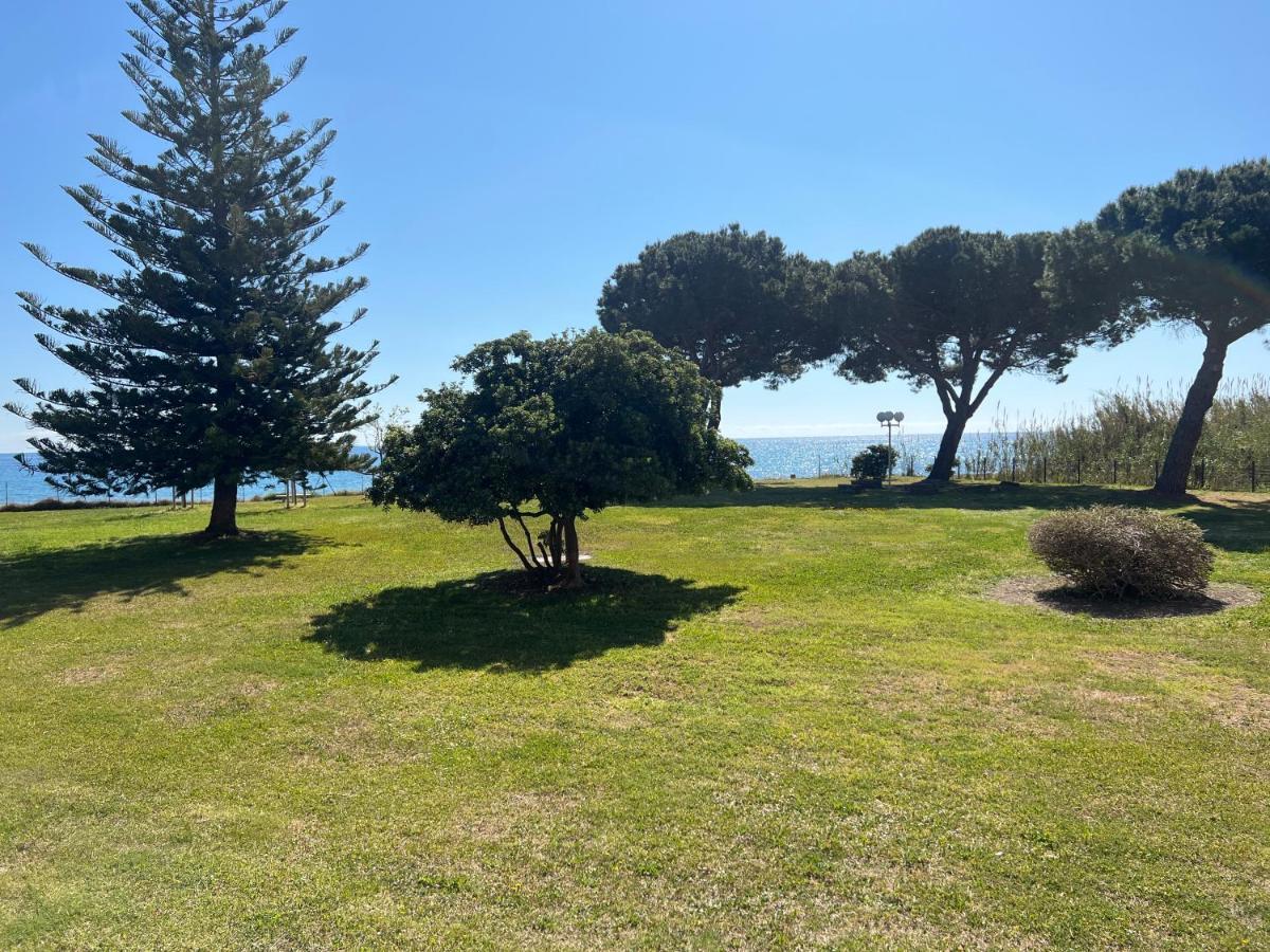 Apartment N 216 Moriani